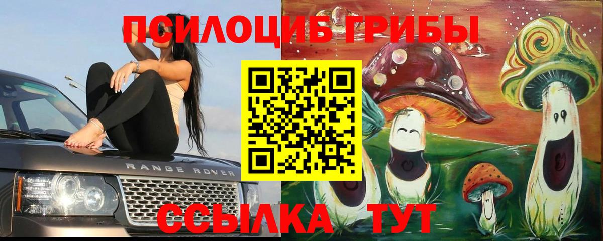 Галлюциногенные грибы MAGIC MUSHROOMS  Псилоцибиновые грибы Psilocybine cubensis  Вход с VPN  Новотроицк 